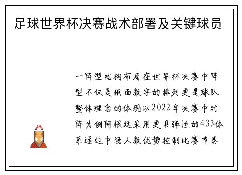 足球世界杯决赛战术部署及关键球员